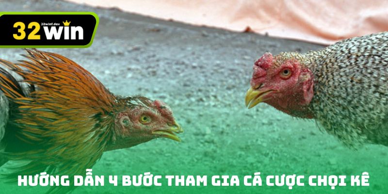 Hướng dẫn 4 bước tham gia cá cược chọi kê