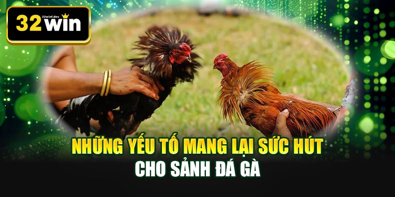 Những yếu tố mang lại sức hút cho sảnh đá gà